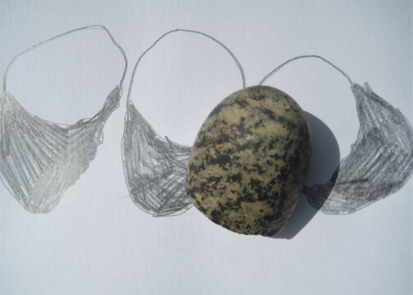 Stones of the Ness -Sketch by Jeanne Bouza Rose