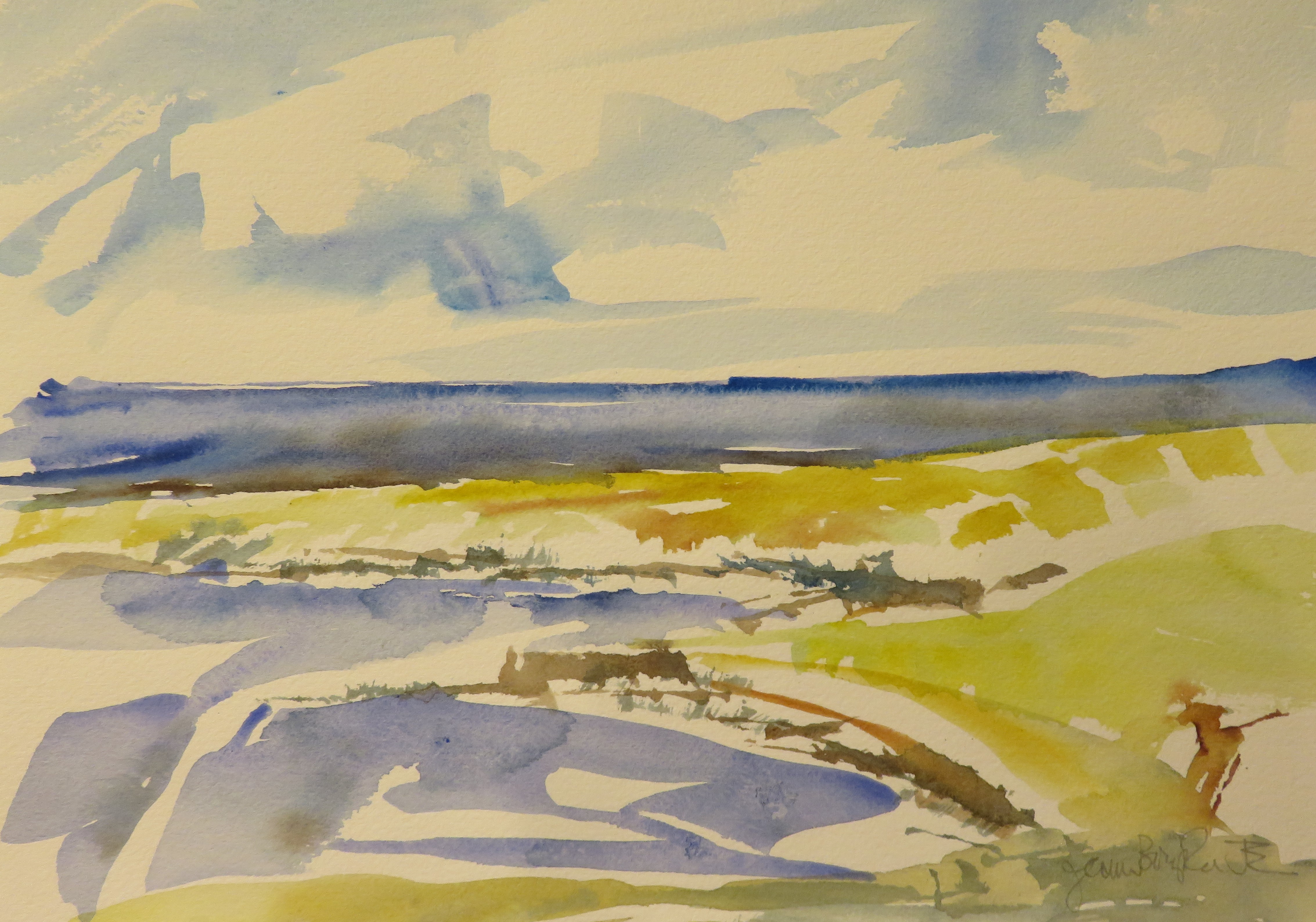Jeanne Bouza Rose Orkney Watercolour